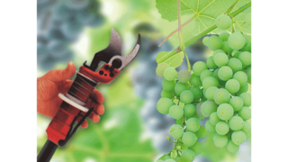 KAESER Compressores de êmbolos industriais em viticultura.